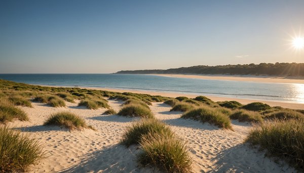 Les meilleurs spots de surf à découvrir en bretagne